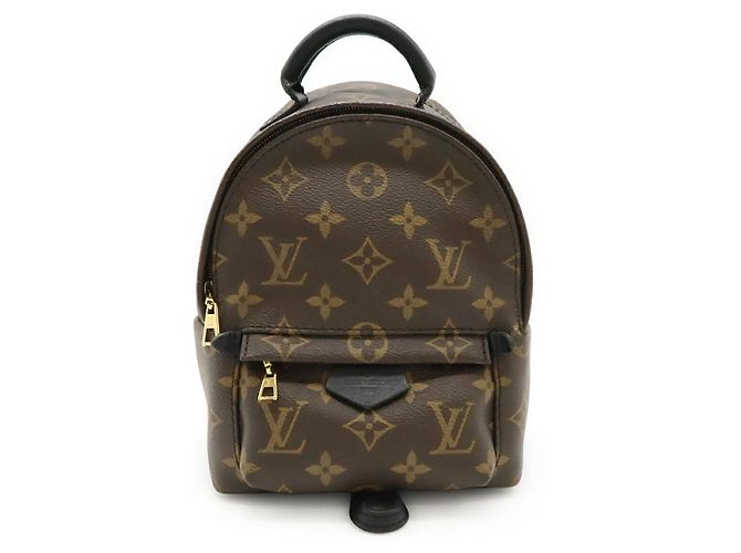 Louis Vuitton Monogram Palm Springs Mini Rucksack Braun