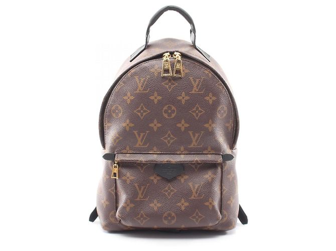 Zaino/Borsa Louis Vuitton Palm Springs PM Marrone Nero