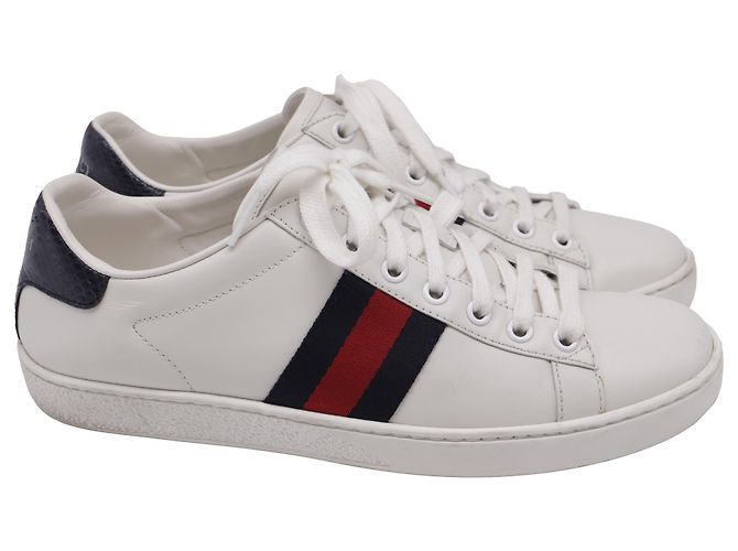Sneakers Ace Web in pelle bianca Gucci Bianco Crudo