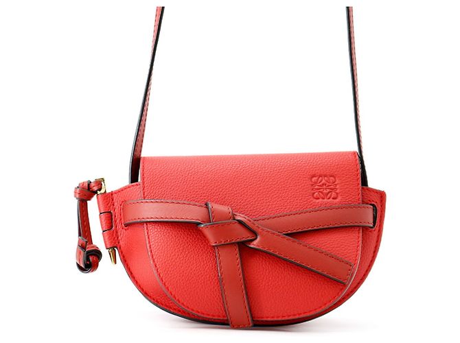 Mini borsa a tracolla Loewe Dual Gate Rosso 