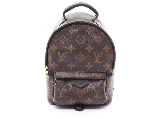 Mini sac à dos/sac à main Louis Vuitton Palm Springs Marron Noir Monogramme