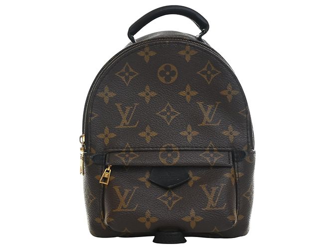 Louis Vuitton Brown Monogram Mini Palm Springs
