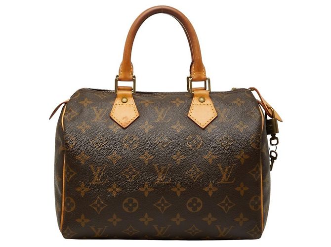 Louis Vuitton Monogram Speedy 25 Mini Boston Bag Marrom