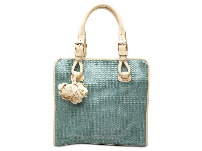 Céline Sac à main Boogie en raphia bleu Celine Bleu clair