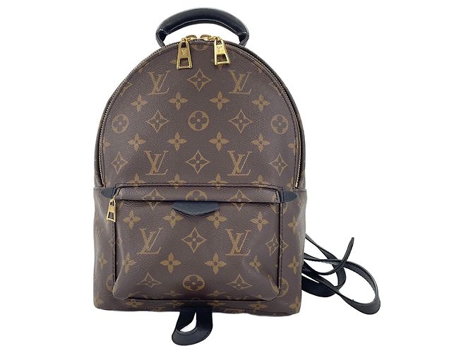Louis Vuitton Palm Springs Rucksack PM Braun