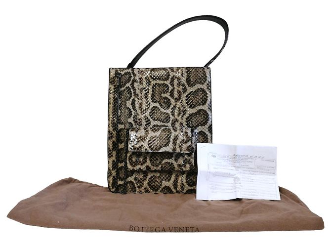 Bottega Veneta Python Tote Bag Braun