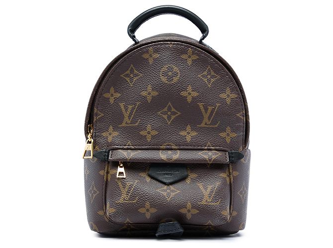 Louis Vuitton Marrom Monogram Mini Palm Springs