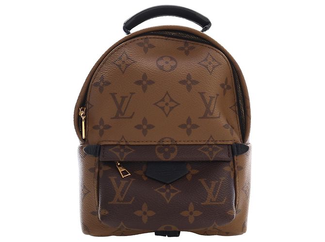 Louis Vuitton Marron Monogram Reverse Mini Palm Springs