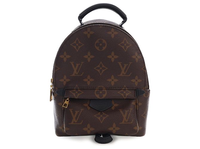 Louis Vuitton Marrom Monogram Mini Palm Springs
