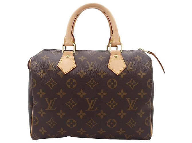 Louis Vuitton Marron Monogram Speedy 25