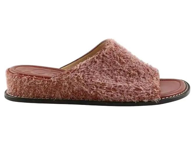 Loewe Mules marron