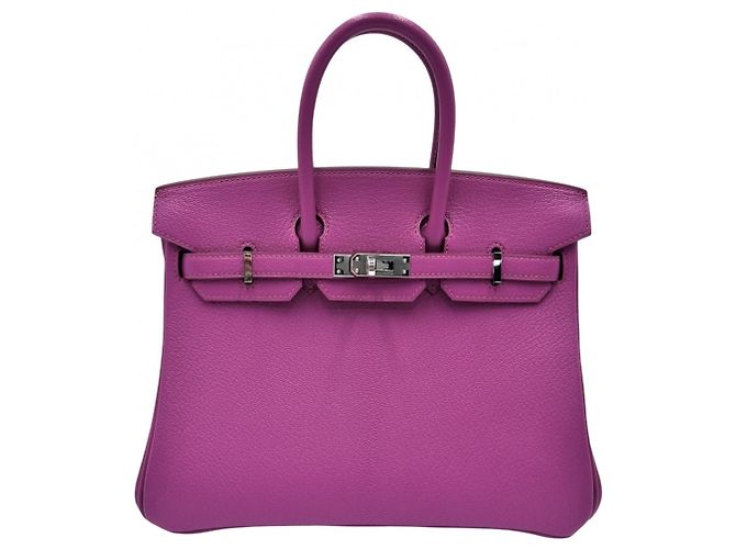 Hermès Borsa Hermes Birkin 25 in viola Porpora