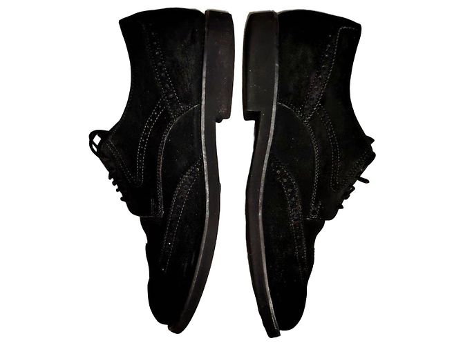Tod's Brogues in scamosciato nero