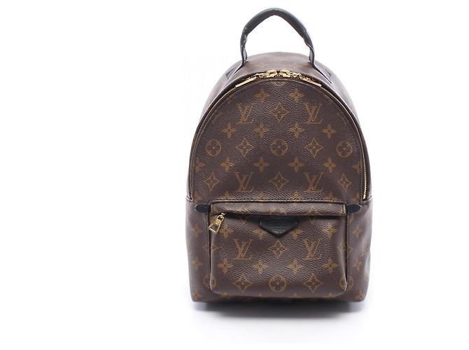Louis Vuitton Palm Springs Backpack PM Brown Black