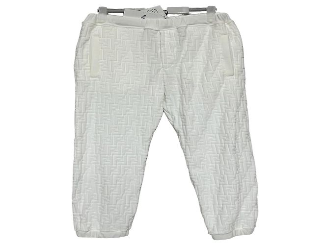 Fendi Straight Pants Silvery