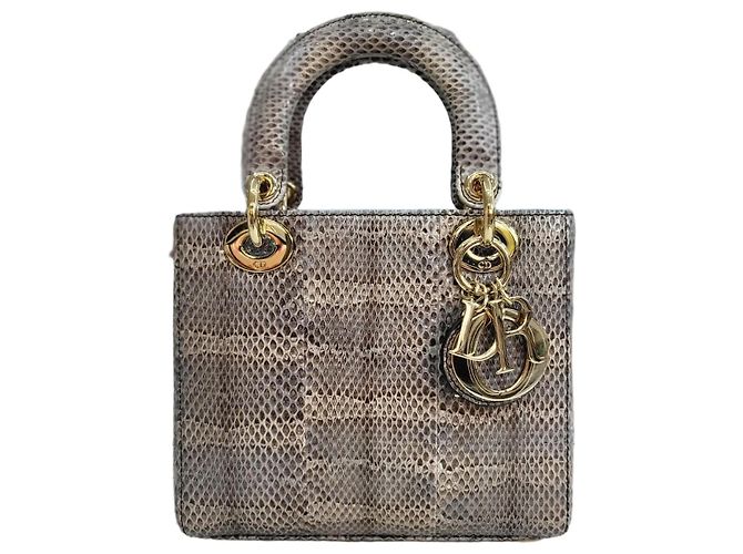 Dior Kleiner Python Tote Bag Braun 