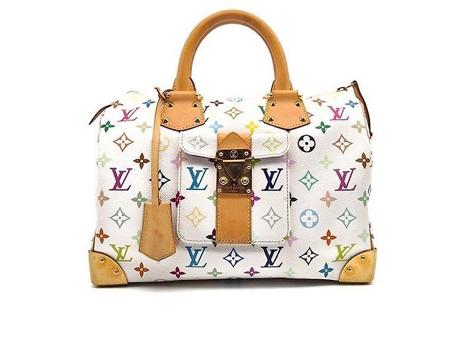 Louis Vuitton Multi Speedy Multicolore
