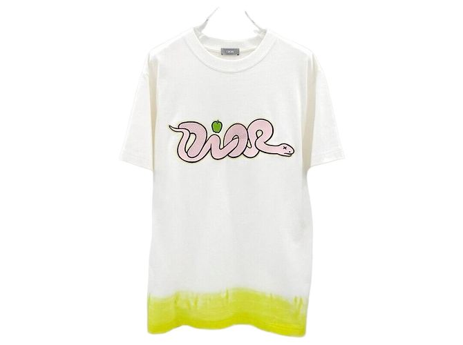 Dior Cotton Logo T-Shirt Silber