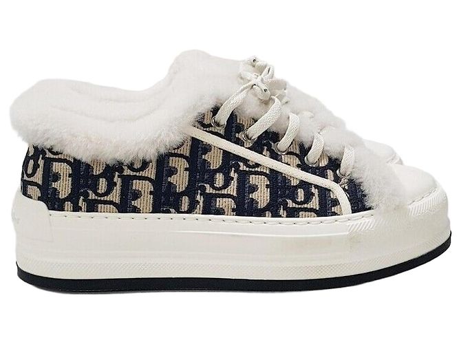 Dior Work and Platform Sneakers Shearing Silvery