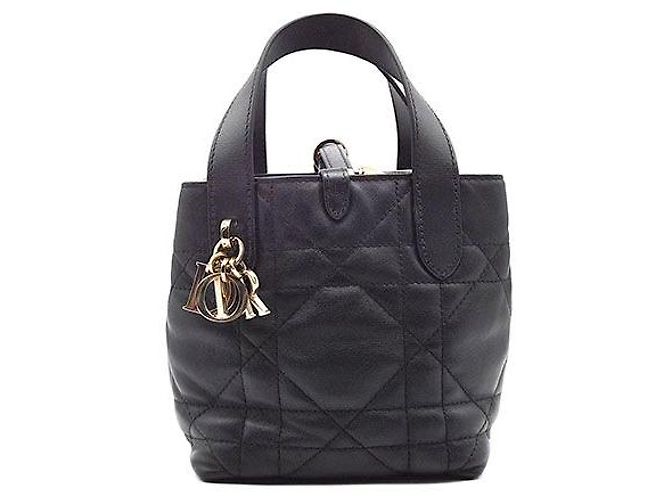 Christian Dior Trousseau Vertical Nano Noir