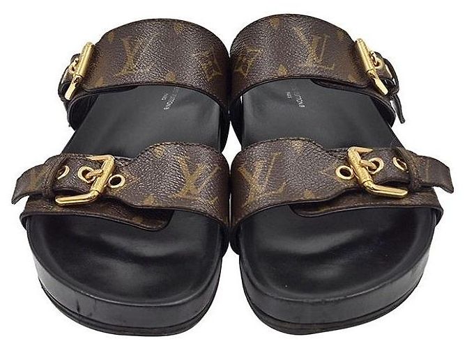 Louis Vuitton Monogram Flat Mule Multiple colors
