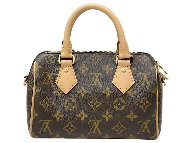 Louis Vuitton Monogram Speedy Bandoulière Multicolore