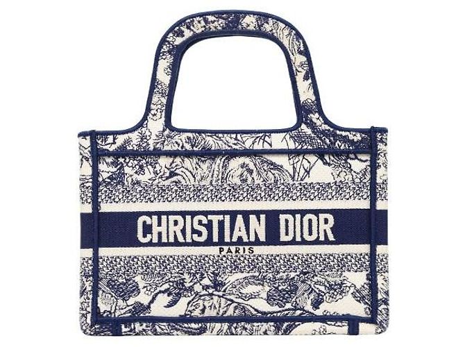 Book Tote Dior Mini borsa tote Book