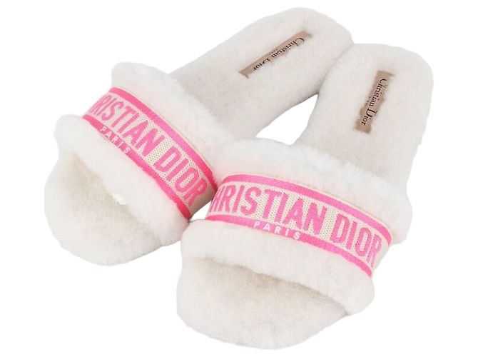 Dior Pantufa Mule de shearling com logo Multicor