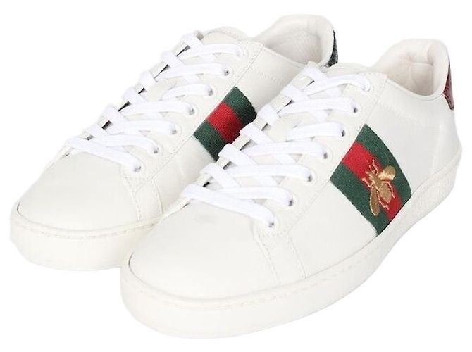 Gucci Baskets Ace Multicolore