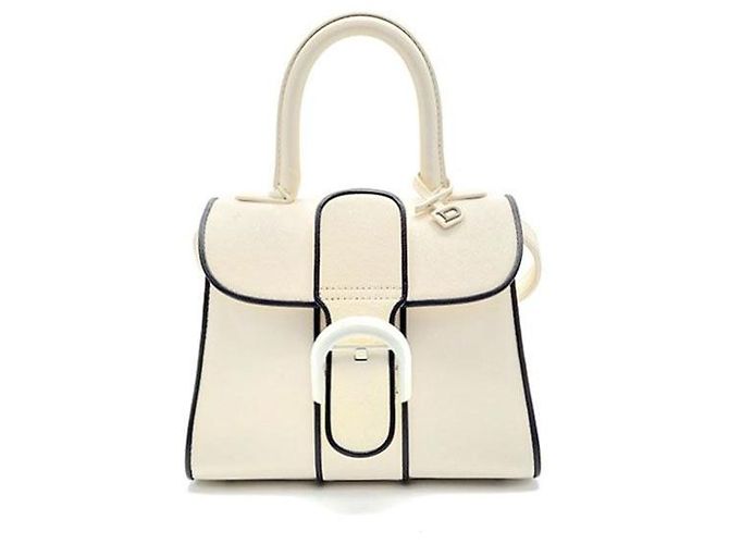 Delvaux Brion Mini Box White