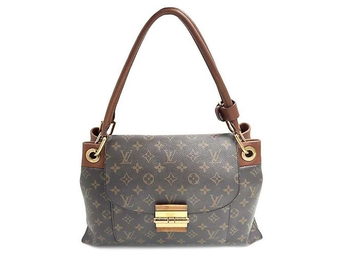 Louis Vuitton Monogram Olengf