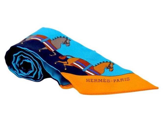 Hermès Pañuelo Twilly Multicolor 