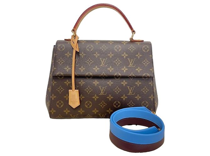 Louis Vuitton Monogram Cluny MM Multicolore