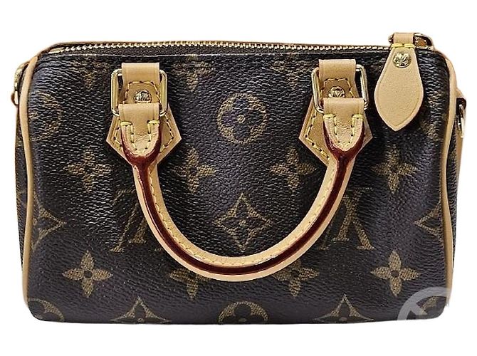 Louis Vuitton Borsa a tracolla Nano Speedy Multicolore