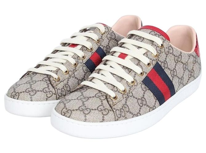 Gucci Ace Sneakers Multicolore