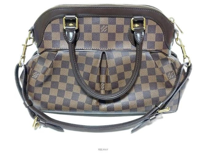 Louis Vuitton Sac cabas Damier Trevi PM Marron