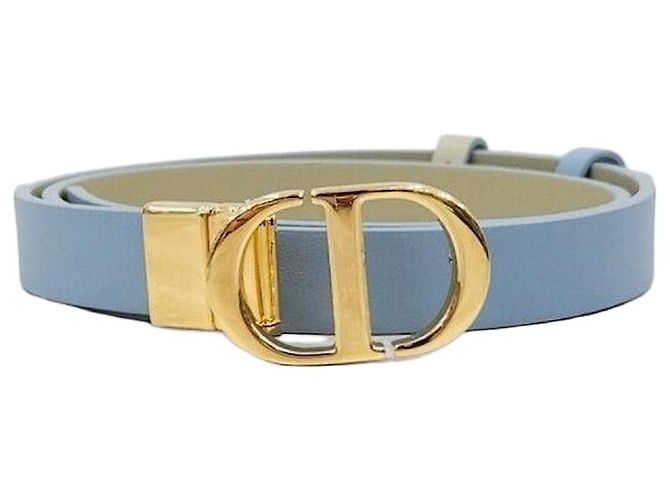 30 Montaigne Dior Montaigne Leather Reversible Belt Silvery