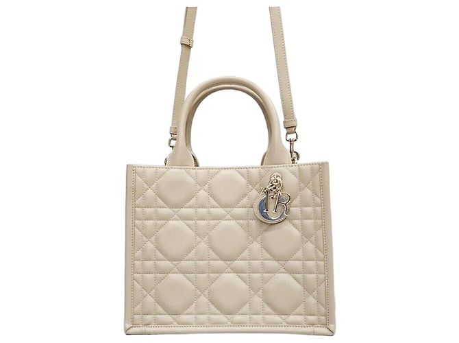 Book Tote Dior Petit sac cabas Leather Book Powder Beige Marron