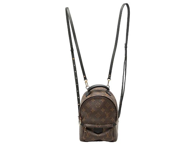Louis Vuitton Marrom Monogram Mini Palm Springs
