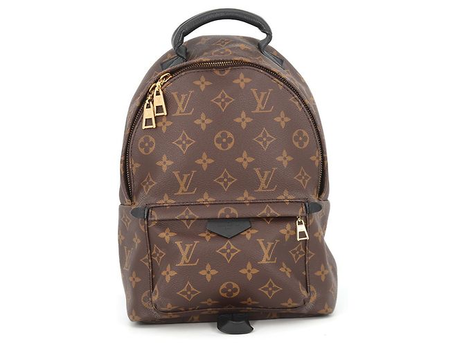 Sac à dos Louis Vuitton Monogram Palm Springs PM Noir