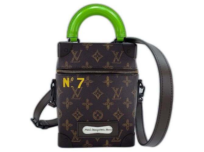Borsa a Spalla Louis Vuitton Vertical Box Trunk Marrone