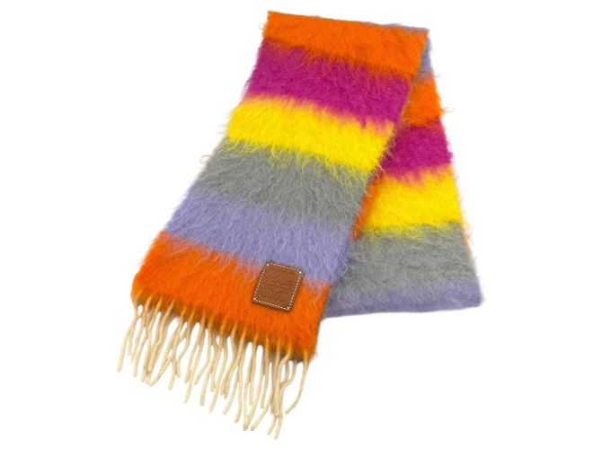 Stola in misto lana e mohair Loewe Multicolore