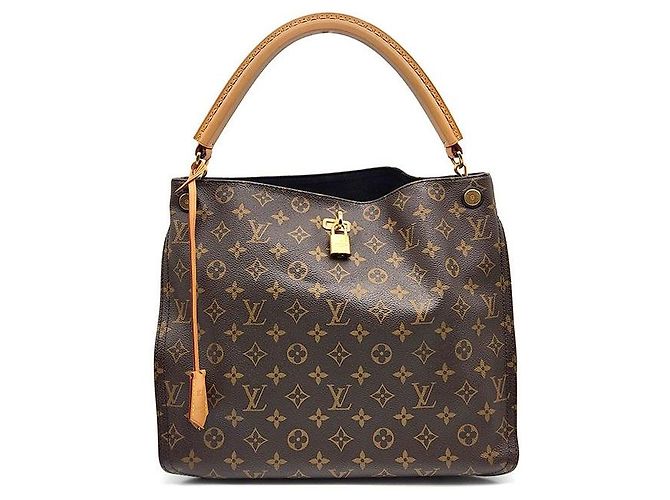 Louis Vuitton Monogram Gaia Brown
