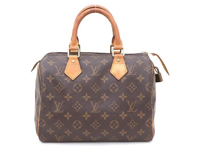 Louis Vuitton Bolsa Tote Speedy em Canvas Monogram Multicor