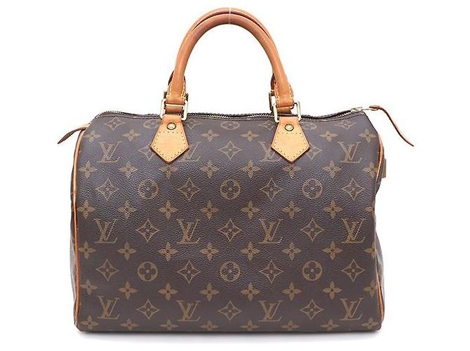 Louis Vuitton Bolsa Tote Speedy em Canvas Monogram Multicor