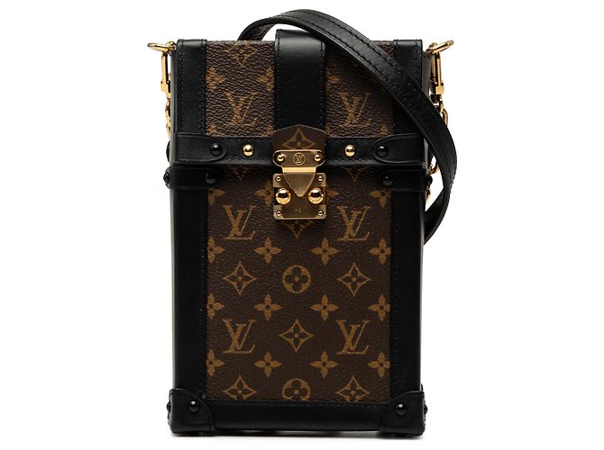 Louis Vuitton Braun Monogram Pochette Trunk Verticale