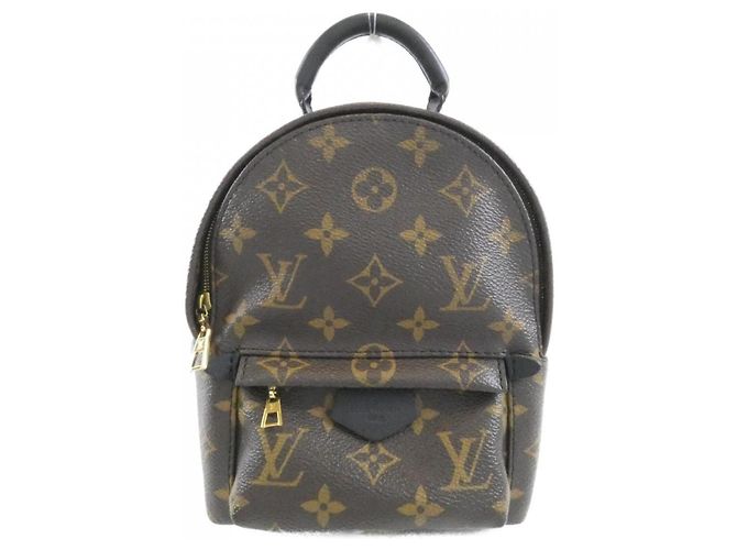 Sac à dos Louis Vuitton Monogram Palm Springs MINI Marron