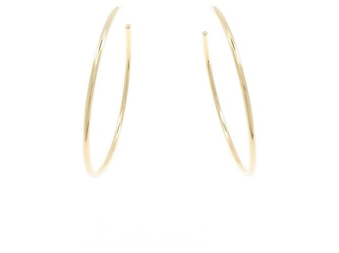 Tiffany & Co Orecchini a cerchio Tiffany 750