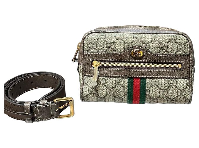Borsa a tracolla e cintura Ophidia Gucci Marrone Monogramma
