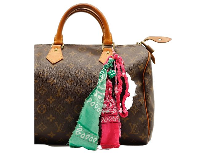 Louis Vuitton Speedy 30 Handtasche Monogram Canvas Braun Pink Grün Monogramm